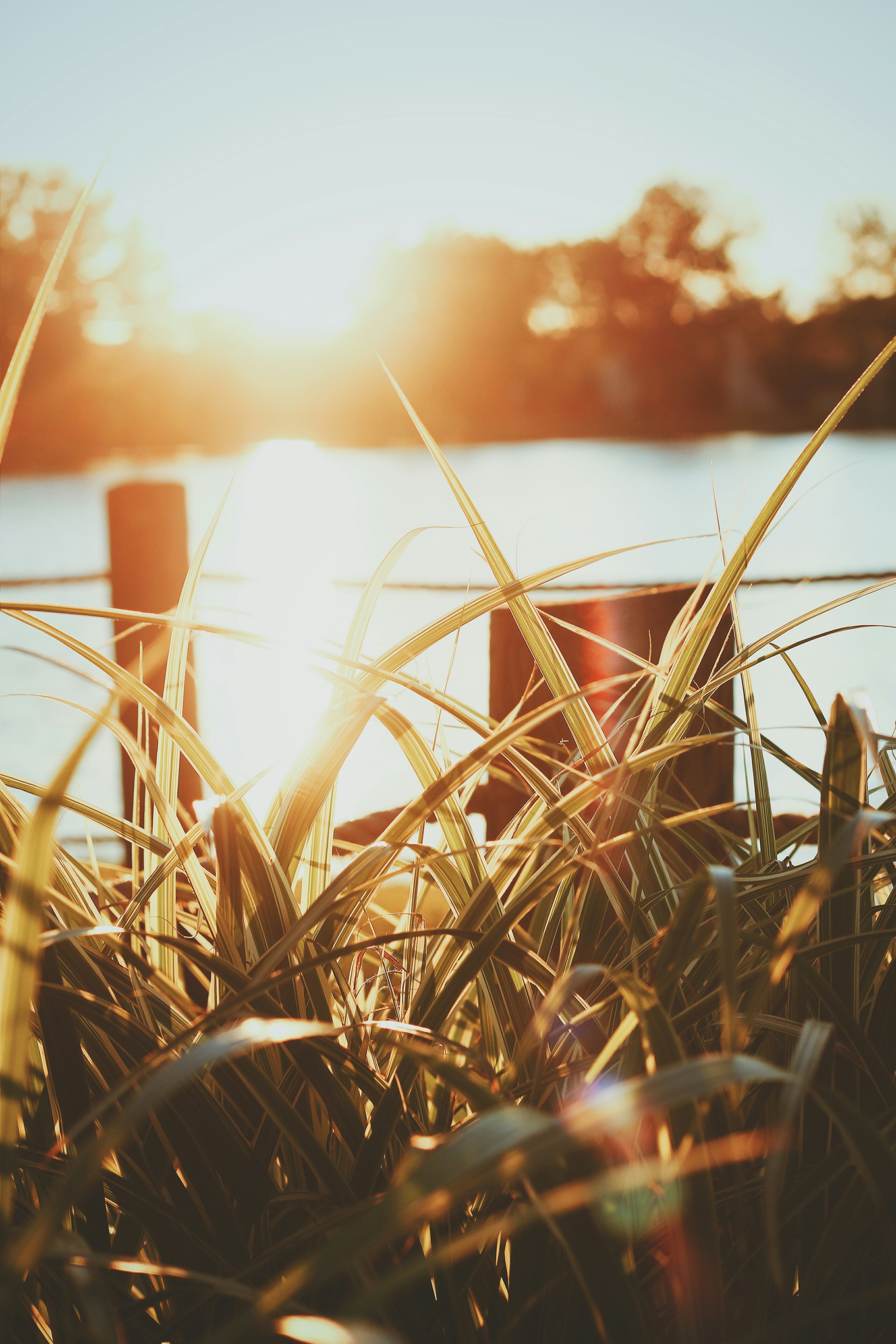 jodie-walton-pPLo_N_hyb8-unsplash